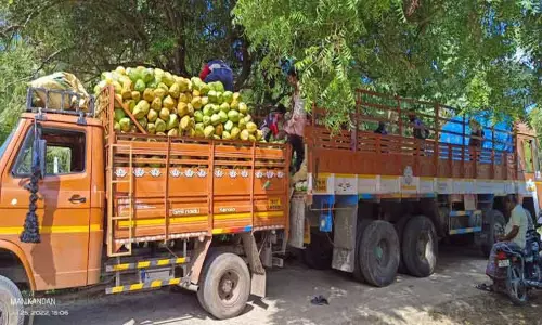 இளநீர் விலை ரூ.35 ஆக நிர்ணயம்