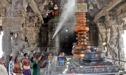 கடலூர் பாடலீஸ்வரர் கோவிலில் உழவார பணி கடலூர் பாடலீஸ்வரர் கோவிலில் உழவார பணி