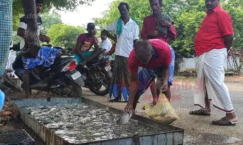 குளத்து மீன்களுக்கு மாறிய அசைவ பிரியர்கள்