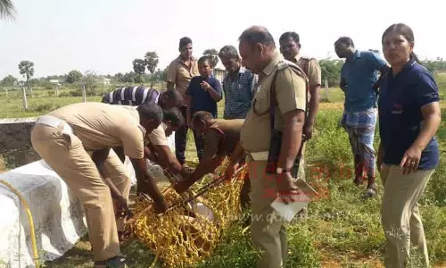 கிணற்றில் விழுந்த புள்ளிமான் மீட்பு