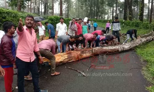 சாலையில் மரம் விழுந்து போக்குவரத்து பாதிப்பு