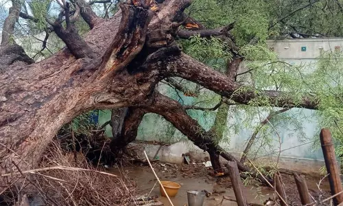 சூறைக்காற்றுடன் ஆலங்கட்டி மழை