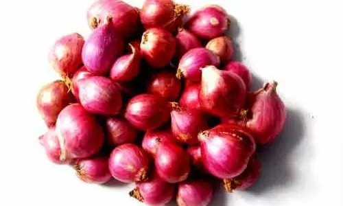 சின்ன வெங்காயம் விலை உயர்வு