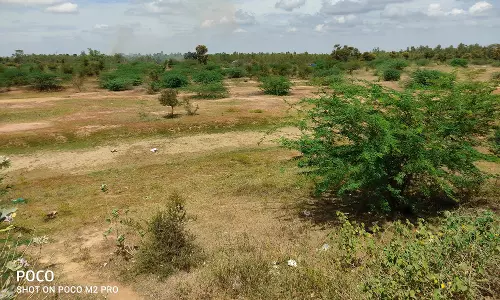 கறம்பக்குடி பகுதியில் ஏரி, குளங்கள் வறண்டன