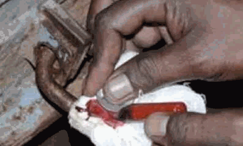 சட்ட விரோதமாக செயல்பட்ட 6 பார்களுக்கு சீல் வைப்பு