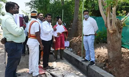 வளர்ச்சி திட்ட பணிகளை கலெக்டர் ஆய்வு வளர்ச்சி திட்ட பணிகளை கலெக்டர் ஆய்வு