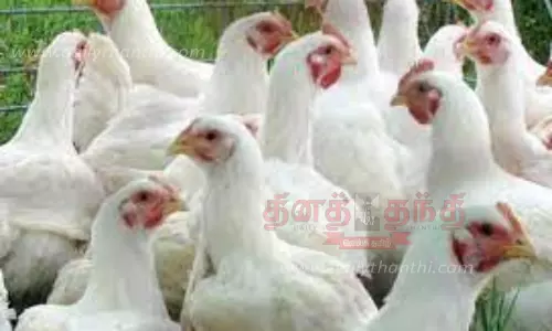 மயிலாடுதுறையில் கறிக்கோழி விலை நிலவரம்