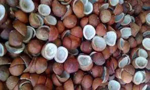 எழுமாத்தூர், வெப்பிலி ஒழுங்குமுறை விற்பனைக்கூடங்களில்ரூ.37 லட்சத்துக்கு விவசாய விளைபொருட்கள் ஏலம் எழுமாத்தூர், வெப்பிலி ஒழுங்குமுறை விற்பனைக்கூடங்களில்ரூ.37 லட்சத்துக்கு விவசாய விளைபொருட்கள் ஏலம்