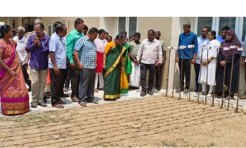 கலவை தாலுகா அலுவலகத்தில் ஜமாபந்தி