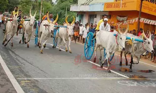 கோவில் திருவிழாவையொட்டி மாட்டு வண்டி பந்தயம் கோவில் திருவிழாவையொட்டி மாட்டு வண்டி பந்தயம்