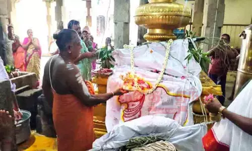 திருத்தளிநாதர் கோவிலில் வைகாசி விசாக திருவிழா கொடியேற்றத்துடன் தொடக்கம்