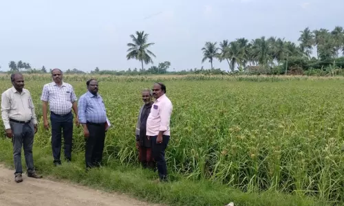 வேளாண்மை இணை இயக்குனர் திடீர் ஆய்வு