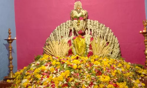 பகவதி அம்மன் கோவில் பூச்சொரிதல் விழா பகவதி அம்மன் கோவில் பூச்சொரிதல் விழா