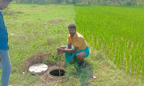 ஆலங்குடியில் 1,000 லிட்டர் சாராய ஊறல் அழிப்பு