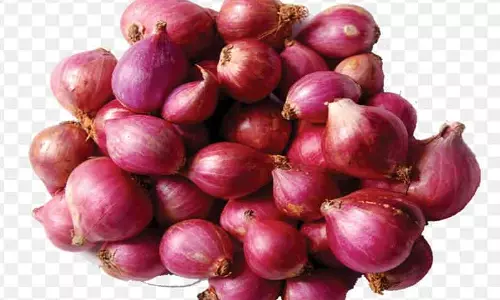 1 கிலோ வெங்காயம் ரூ.12-க்கு விற்பனை