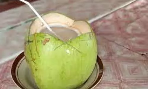 திருமருகலில், இளநீர் விற்பனை படுஜோர் திருமருகலில், இளநீர் விற்பனை படுஜோர்