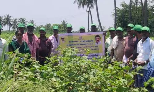 பருத்தி சாகுபடி குறித்து பயிற்சி