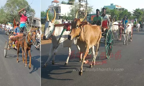மாட்டு வண்டி-குதிரை வண்டி பந்தயம்