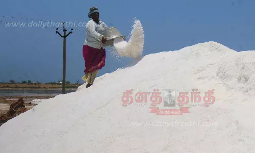 உப்பூர், திருப்பாலைக்குடி பகுதியில் உப்பு உற்பத்தி மும்முரம்