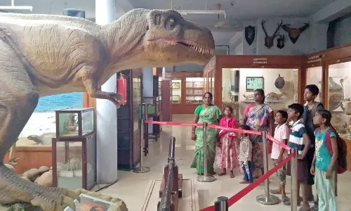 புதுக்கோட்டை அரசு அருங்காட்சியகத்தை3 ஆயிரத்திற்கும் மேற்பட்டோர் பார்வையிட்டனர்