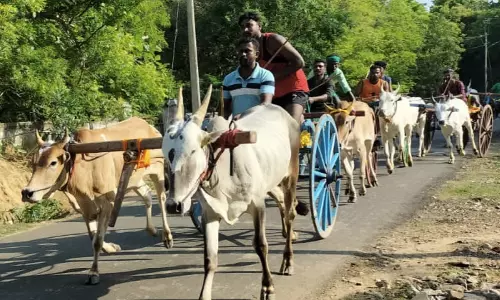 மாட்டு வண்டி எல்கை பந்தயம் மாட்டு வண்டி எல்கை பந்தயம்