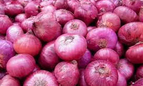 வெங்காய ஏற்றுமதி 64 சதவீதம் அதிகரிப்பு