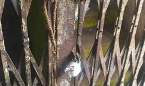 மது பிரியர்கள் பயன்படுத்திய காலி இடத்துக்கு சீல் மது பிரியர்கள் பயன்படுத்திய காலி இடத்துக்கு சீல்