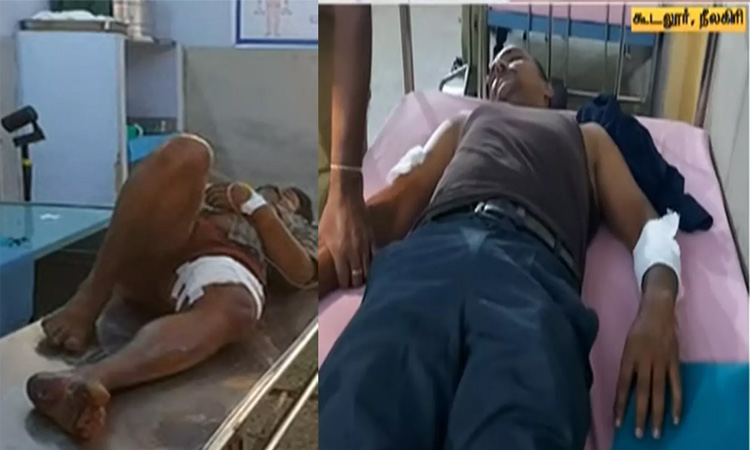 நீலகிரியில்  டாஸ்மாக் கடையில் கொள்ளை முயற்சி- போலீசார் துப்பாக்கி சூடு