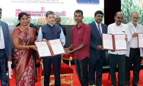 உணவு உற்பத்தியில் உபரி நாடாக இந்தியா திகழ்கிறது உணவு உற்பத்தியில் உபரி நாடாக இந்தியா திகழ்கிறது