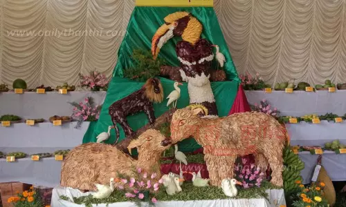 மலர் கண்காட்சியுடன் கோடை விழா தொடங்கியது மலர் கண்காட்சியுடன் கோடை விழா தொடங்கியது