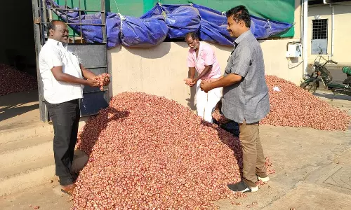 திண்டுக்கல் மார்க்கெட்டில் வெங்காயம் விலை உயர்வு திண்டுக்கல் மார்க்கெட்டில் வெங்காயம் விலை உயர்வு