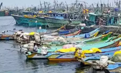 மீனவ குடும்பங்களுக்கு மீன்பிடி தடைகால நிவாரணம்: வங்கிக்கணக்கில் தலா ரூ.5 ஆயிரம் வரவு வைக்கும் பணி தொடக்கம்