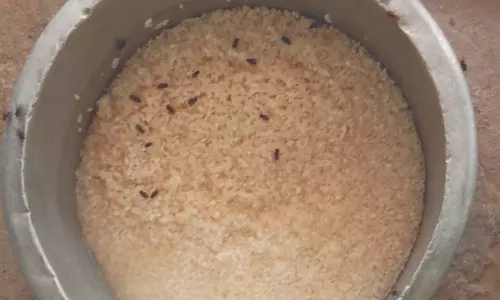 கோழிப்பண்ணையில் இருந்து படையெடுக்கும் ஈக்கள்