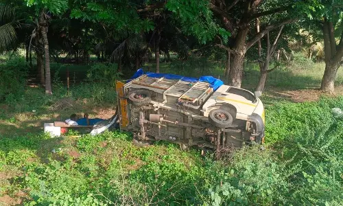 சாலையோரத்தில் கவிழ்ந்த சரக்கு வேன்