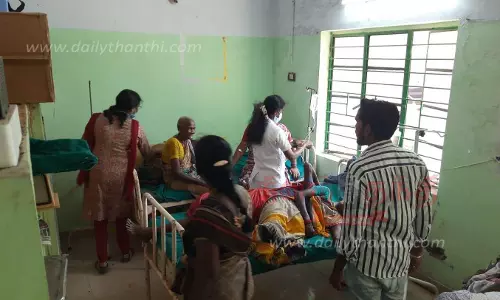 தேனீக்கள் கடித்து 88 தொழிலாளர்கள் காயம்