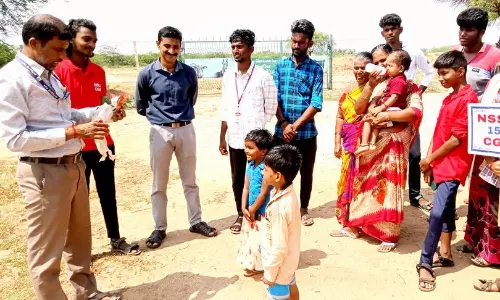 பறவைகளுக்கு தீங்கு விளைவிக்கக்கூடாது பறவைகளுக்கு தீங்கு விளைவிக்கக்கூடாது