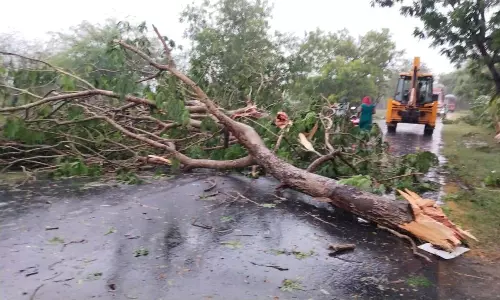 சூறை காற்றுடன் மழை