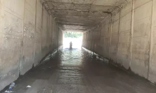 ரெயில்வே பாலத்தின் அடியில் தேங்கிய மழைநீரால் சுகாதார சீர்கேடு