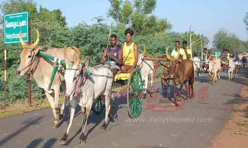 கோவில் திருவிழாவையொட்டி மாட்டு வண்டி பந்தயம் கோவில் திருவிழாவையொட்டி மாட்டு வண்டி பந்தயம்