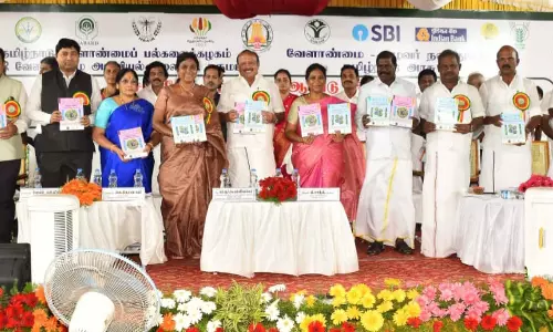 பாப்பாரப்பட்டியில்மண்டல அளவிலான சிறுதானிய திருவிழாஅமைச்சர் எம்.ஆர்.கே. பன்னீர்செல்வம் தொடங்கி வைத்தார்