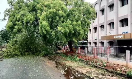 பலத்த சூறைக்காற்றுடன் கனமழை