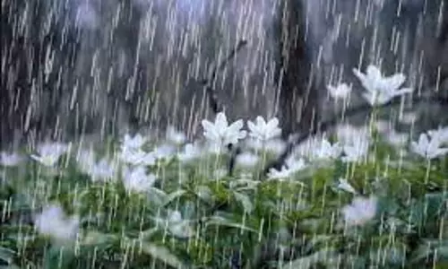 வேப்பனப்பள்ளியில் கனமழை; பொதுமக்கள் மகிழ்ச்சி வேப்பனப்பள்ளியில் கனமழை; பொதுமக்கள் மகிழ்ச்சி