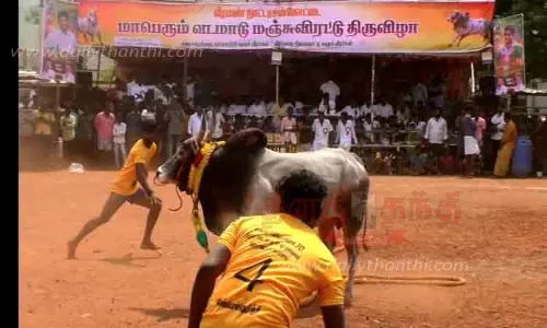 வடமாடு மஞ்சுவிரட்டு வடமாடு மஞ்சுவிரட்டு