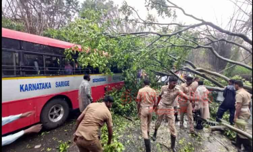 ஆசனூரில்சூறைக்காற்றுடன் ஆலங்கட்டி மழைமரம் முறிந்து பஸ் மீது விழுந்தது; 40 பயணிகள் உயிர் தப்பினர்