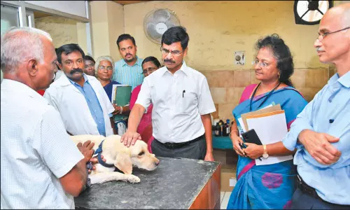 சிட்லபாக்கம் கால்நடை ஆஸ்பத்திரியில் இறையன்பு ஆய்வு