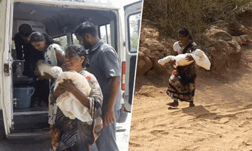 குழந்தை உயிரிழப்பு- மலைக் கிராமத்தில் சாலை அமைக்க நடவடிக்கை: ஆட்சியர் உறுதி