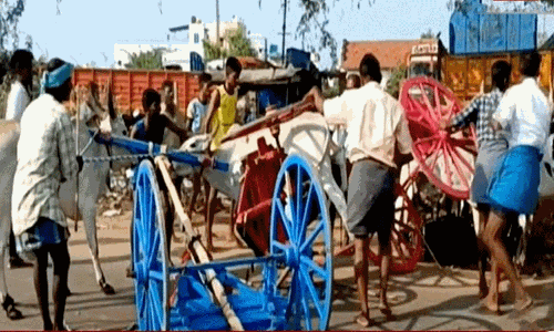 மதுரையில் நடைபெற்ற மாட்டுவண்டி பந்தயத்தில் மாட்டுவண்டிகள் அடுத்தடுத்து மோதி விபத்து மதுரையில் நடைபெற்ற மாட்டுவண்டி பந்தயத்தில் மாட்டுவண்டிகள் அடுத்தடுத்து மோதி விபத்து