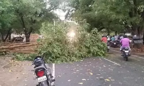 சூறாவளிக்காற்றுடன் கனமழை