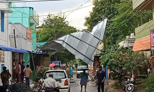 சூறைக்காற்றுடன் பெய்த மழை