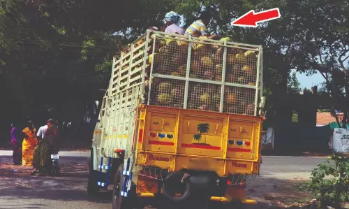 சரக்கு வாகனங்களில் ஆபத்தான பயணம்